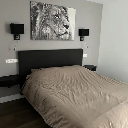 De Gouwe Leeuw 公寓 *