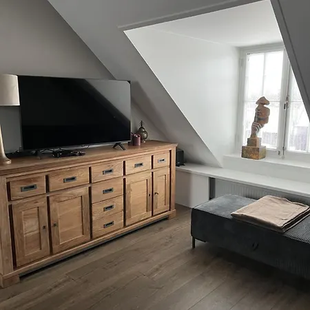 De Gouwe Leeuw Apartment *