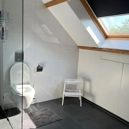 Apartamento De Gouwe Leeuw